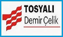 Tosyalc-Demir-Aelik.jpg